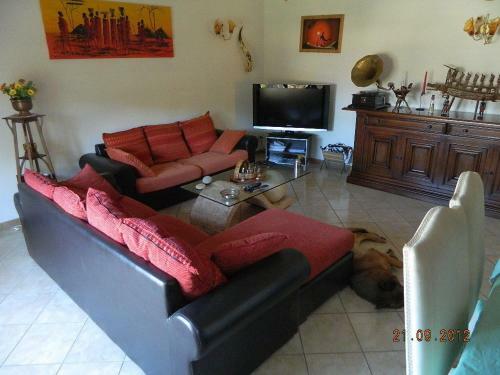 B&B Maneggio Artisti Del Cavallo