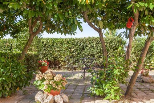 B&B Maneggio Artisti Del Cavallo