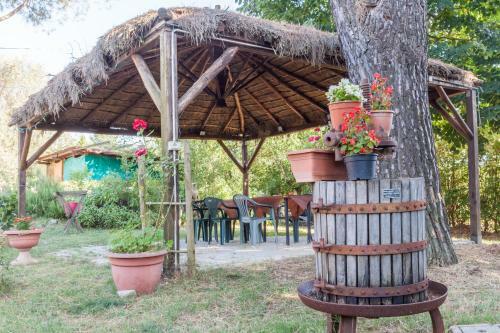 B&B Maneggio Artisti Del Cavallo