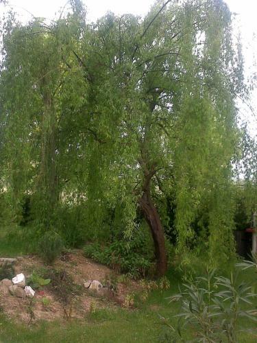 B&B Maneggio Artisti Del Cavallo