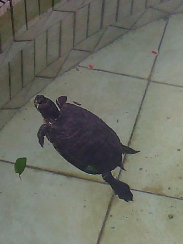 B&B Maneggio Artisti Del Cavallo