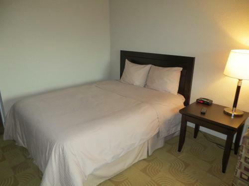 Motel Shoreside Inn & Suites