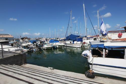Apartamento Andromeda Hill Holiday Suites