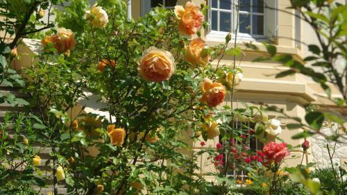 Hostal Villa Roassieux