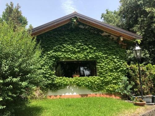 Bed & Breakfast Domus Verdiana