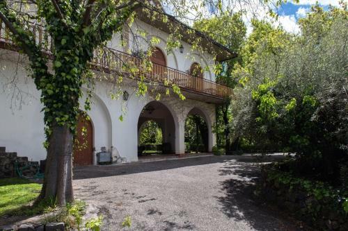Bed & Breakfast Domus Verdiana