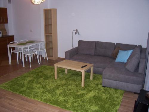 Apartament Czerska 18