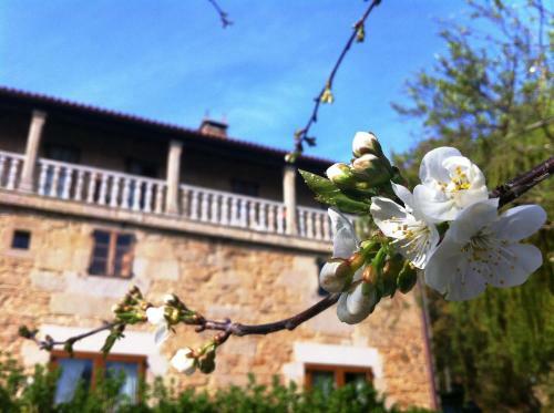 Agroturismo Casa Grande De Fuentemayor