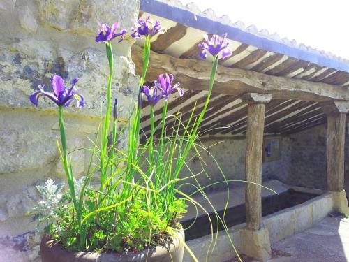 Agroturismo Casa Rural Basaula
