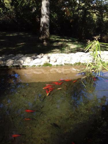 Agroturismo P� Delle Buche