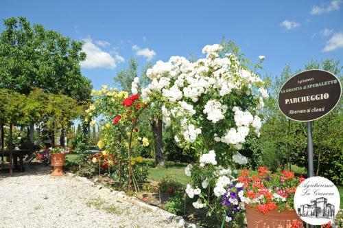 Hostal Agriturismo Castello La Grancia Di Spedaletto