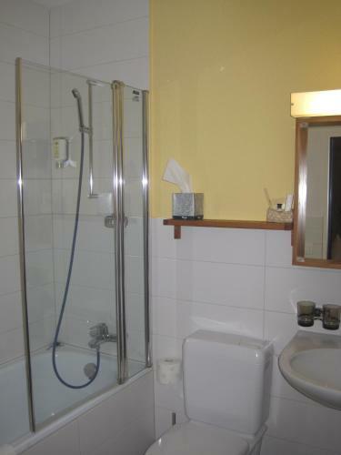 Hotel Gasthof L�wen