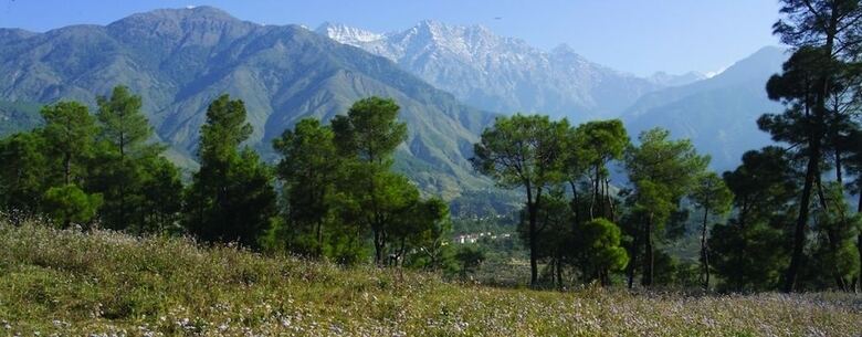 Hotel Club Mahindra Dharamshala