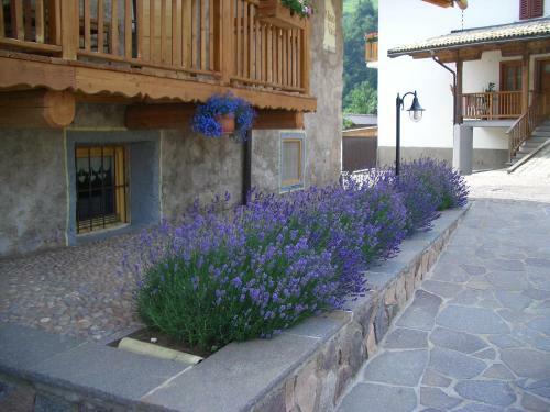 Hostal Maso Vaia