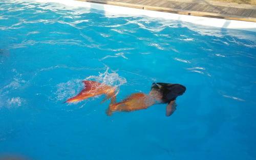Apartamento Casa Vacanze Podere Ugolini