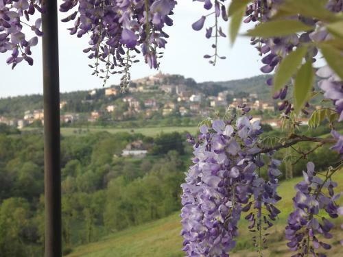 Agroturismo Agriturismo Gattogiallo
