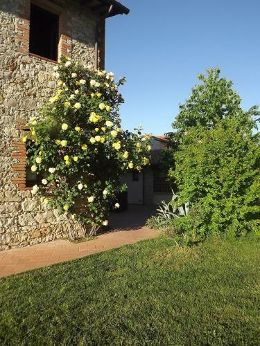 Agroturismo Agriturismo Gattogiallo