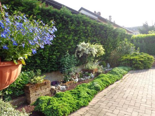 Bed & Breakfast Il Sole Del Borgo