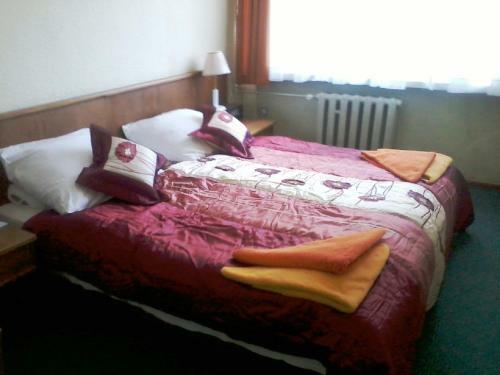 Hotel Holel Odr