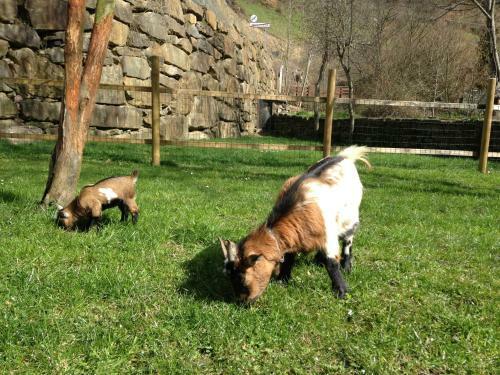 Agroturismo Casa Prieto IV