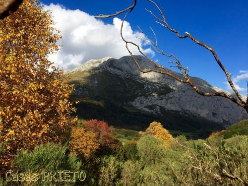 Agroturismo Casa Prieto IV