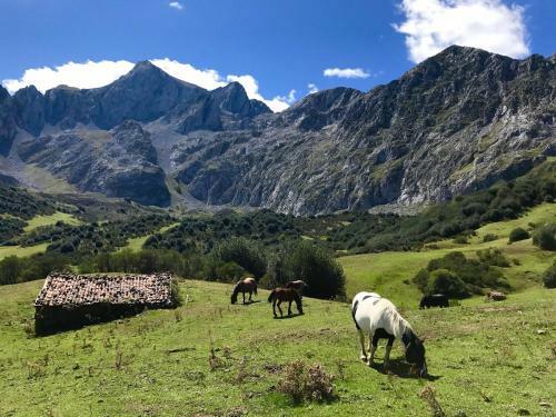 Agroturismo Casa Prieto IV
