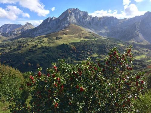 Agroturismo Casa Prieto IV