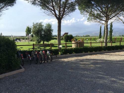 Agroturismo Terra Di Cortona