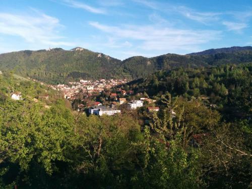 Apartamento Calea Poienii Penthouse