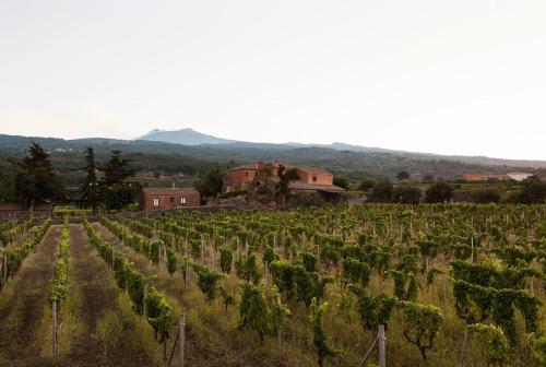 Agroturismo Agriturismo Valle Galfina