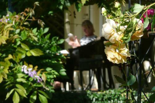 Agroturismo Plas Bodegroes Restaurant With Rooms