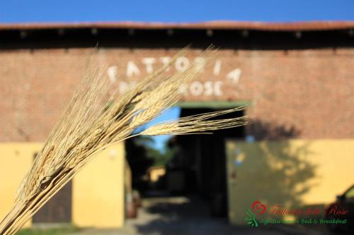 Agroturismo Fattoria Delle Rose