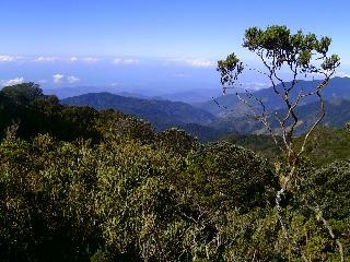 Bed & Breakfast Dantica Cloud Forest Lodge