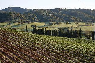 Hostal Herdade Do Sobroso Country House