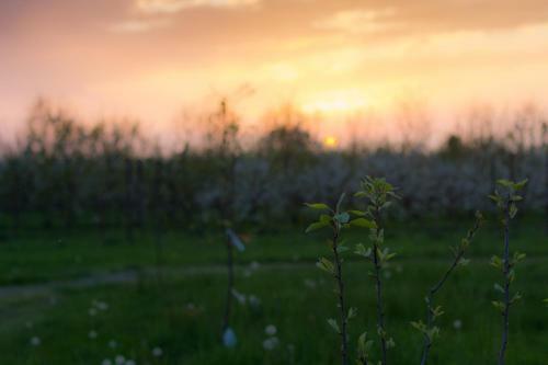 Bed & Breakfast Cascina Delle Mele