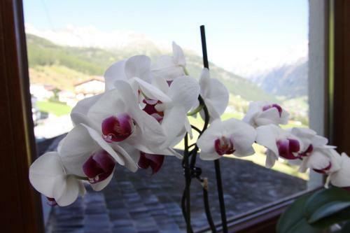 Hostal Haus Stefanie