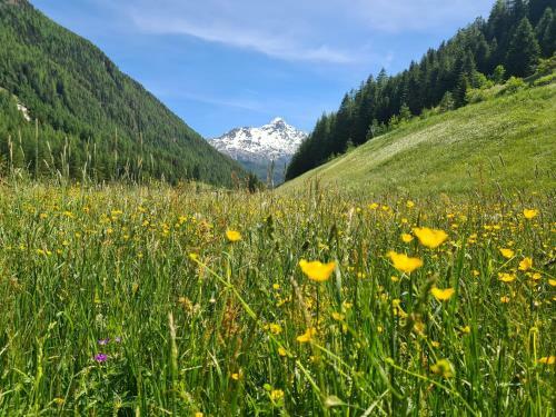 Apartamento Appartement Skorpion