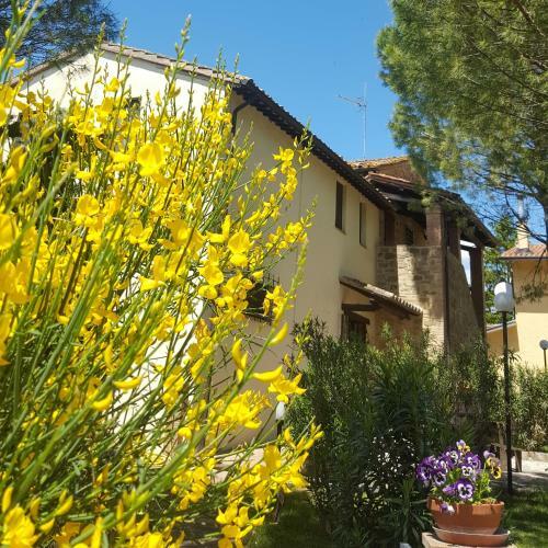 Agroturismo Agriturismo La Ginestrella