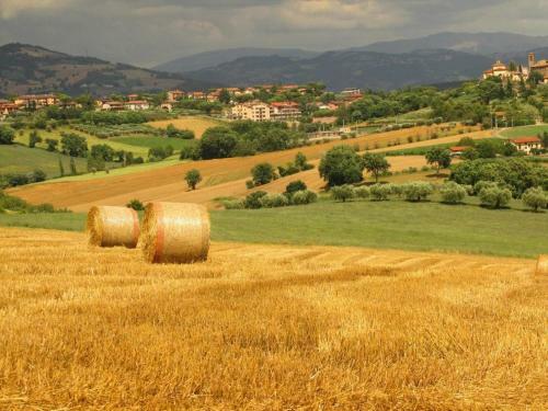 Agroturismo Agriturismo La Ginestrella
