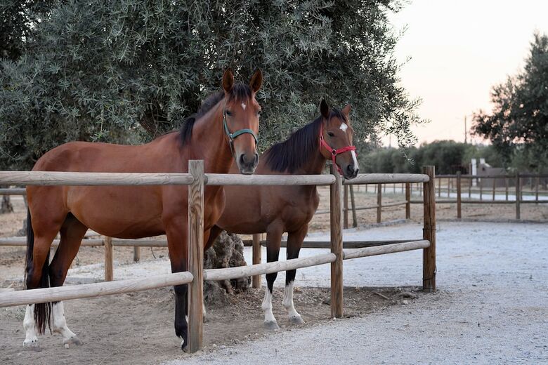 Agroturismo Casa Do Governador