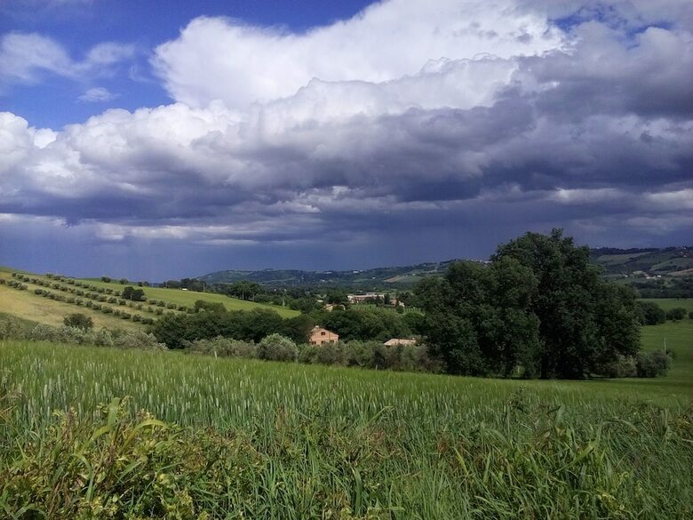 Agroturismo Agriturismo Forestale Luti