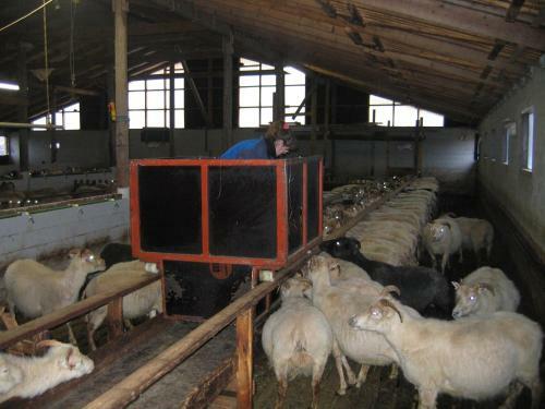 Agroturismo Guesthouse Borg-njardv�k