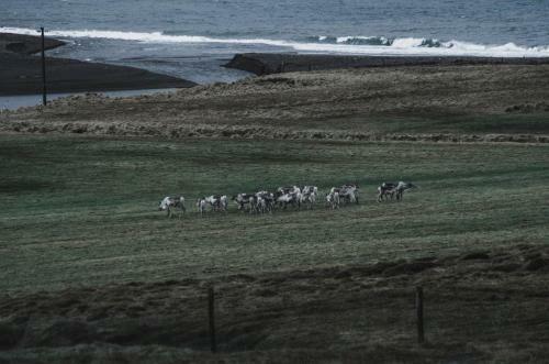 Agroturismo Guesthouse Borg-njardv�k