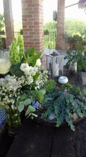 Agroturismo Cascina Sciulun