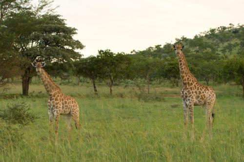 Kedar Country Lodge, Conference Centre & Spa