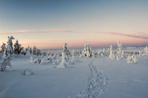 Lapland Dream Villas