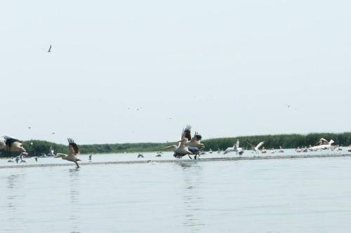 Agroturismo La Raducu