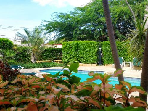 Apartamento Agua Clara Eco Suites