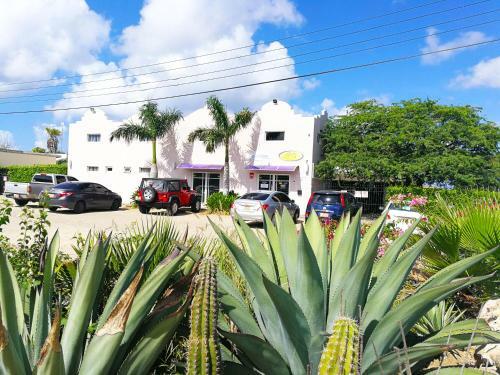 Apartamento Agua Clara Eco Suites