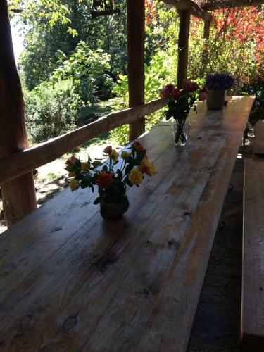 Hostal Centro Trekking A Cavallo Monte Brugiana